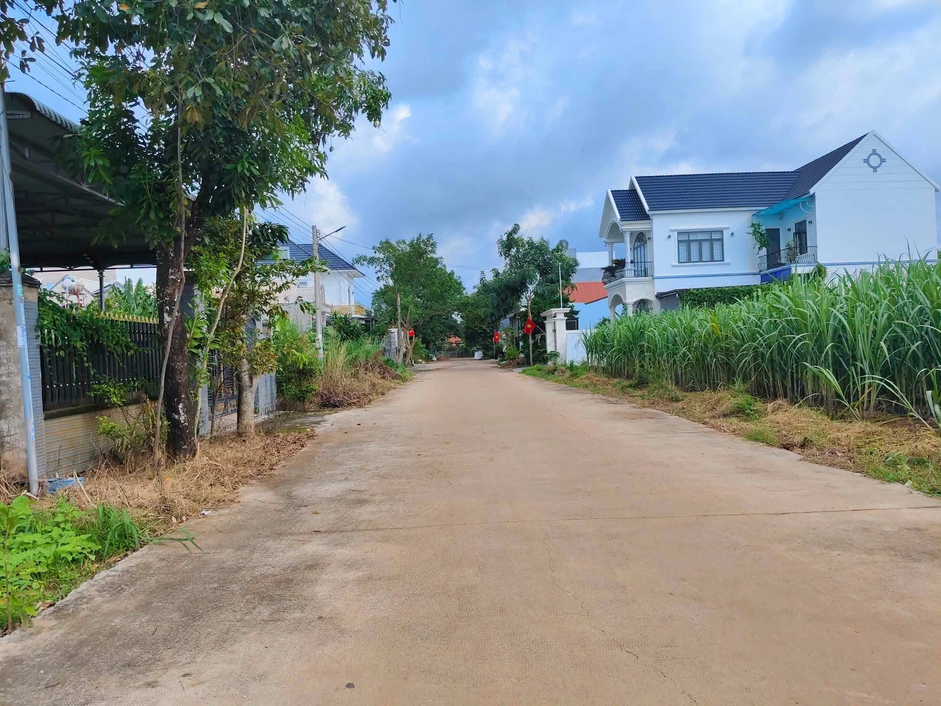 Bán đất Tân Bình 100m² gần Sân Đa Năng 1 tỷ 6 - Ảnh 1