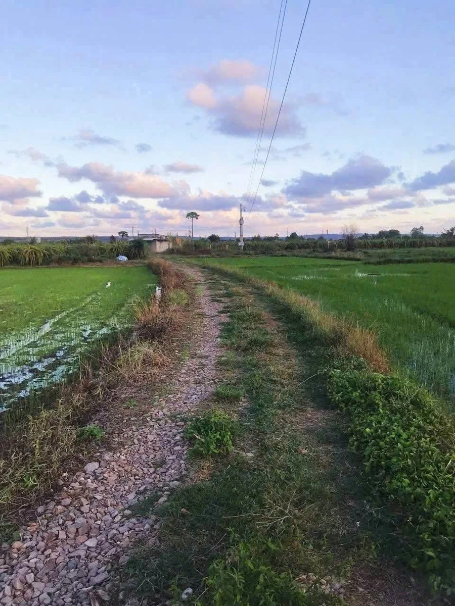 Bán 3.000m² đất Hàm Đức Bình Dương giáp Phú Long - Ảnh thu nhỏ 2