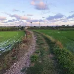 Bán 3.000m² đất Hàm Đức Bình Dương giáp Phú Long - Ảnh thu nhỏ 2