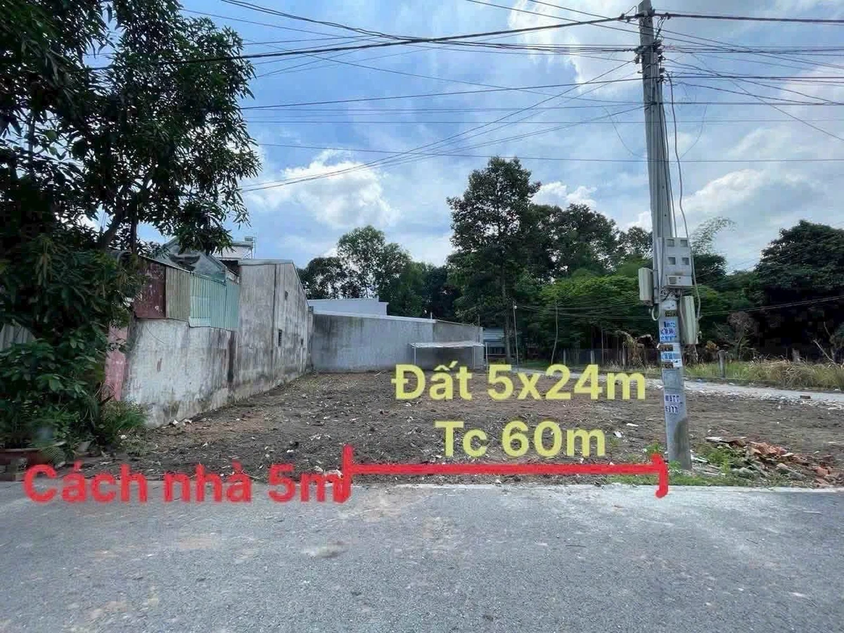 Bán đất Phú Lợi Bình Dương 120m² giá 2 tỷ 550 - Ảnh thu nhỏ 3