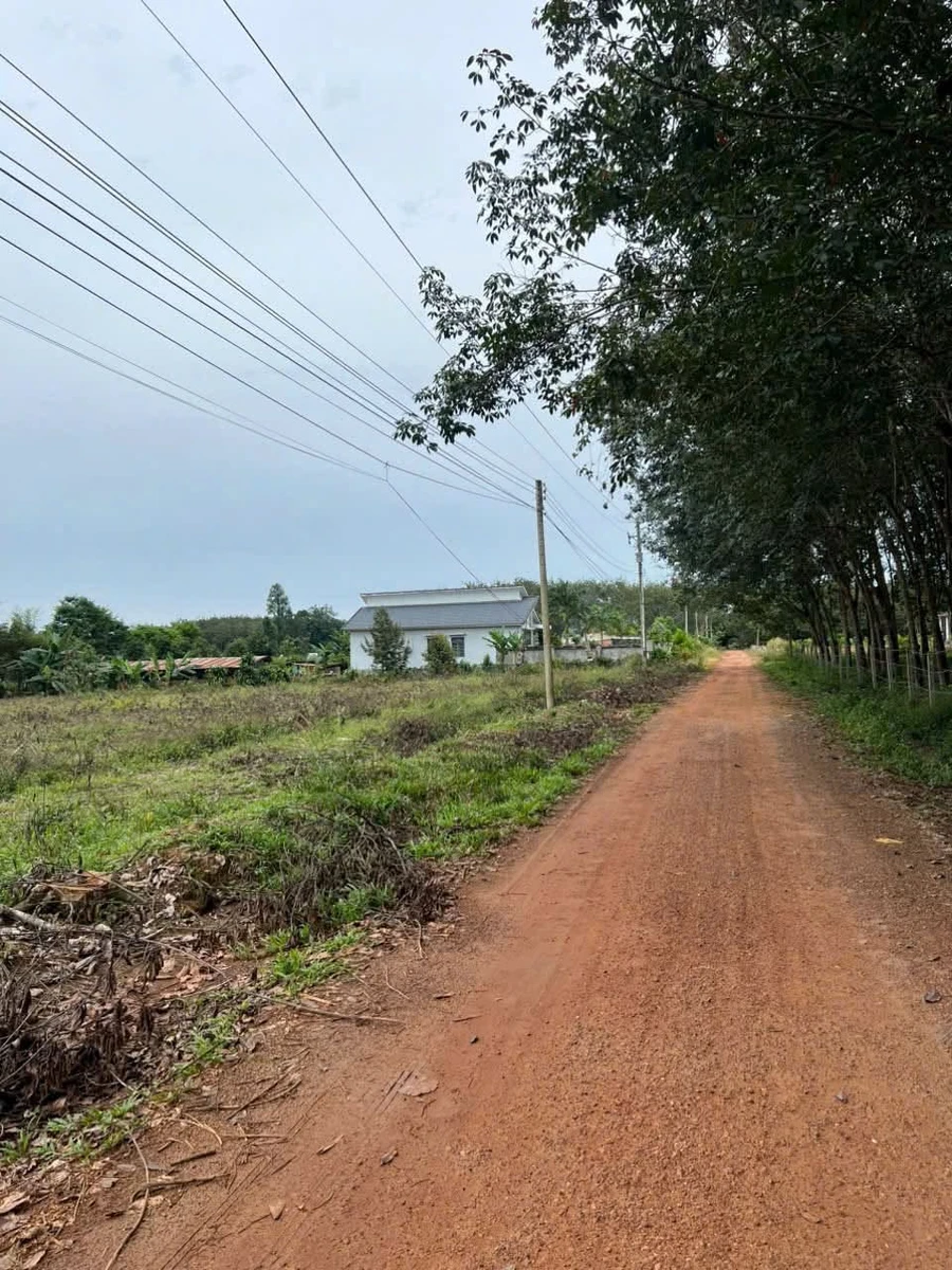 Bán đất Chơn Thành 1000m2, giá 250 triệu - Ảnh 1