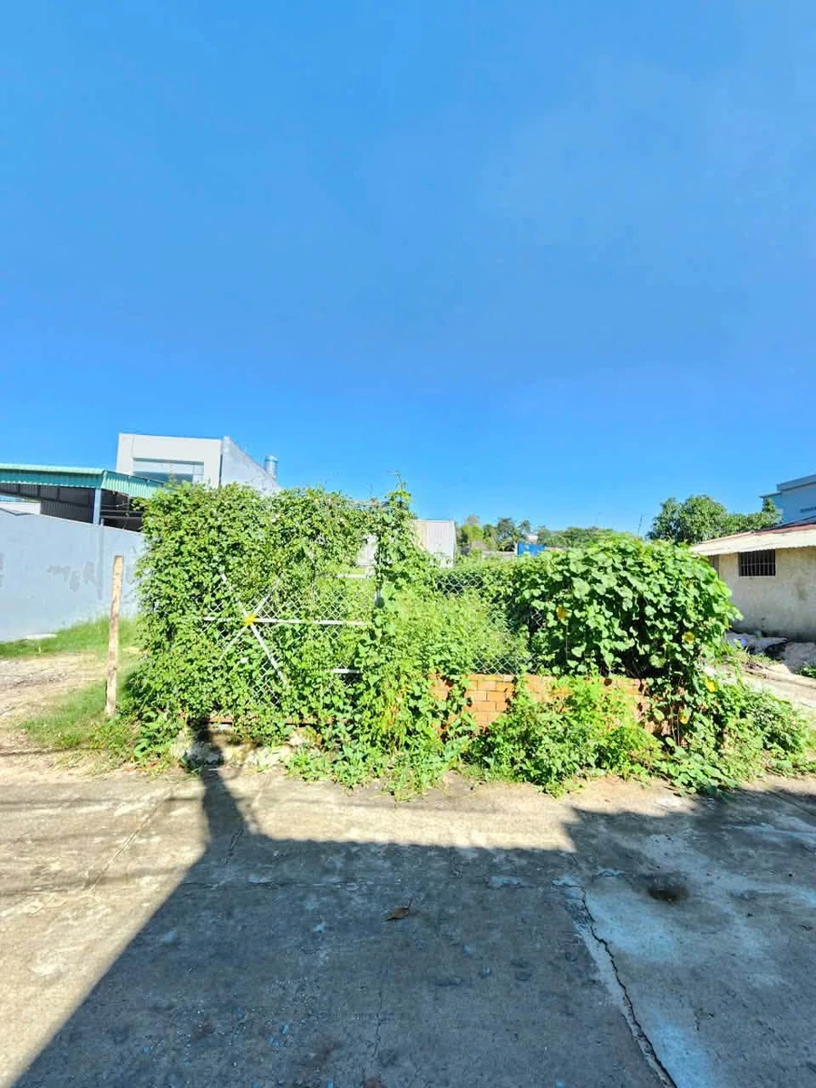 Bán đất 153,5m2 gần Nguyễn Chí Thanh, Bình Nhâm, Bình Tân - Ảnh thu nhỏ 4