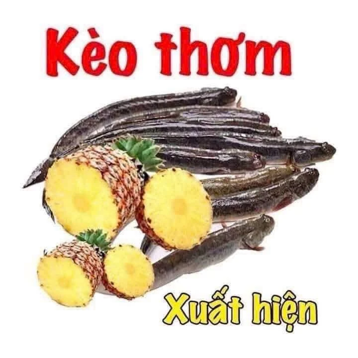Bán đất hẻm 160m² giá 1tỷ3 đường Otto Phước Thạnh - Ảnh 1