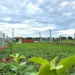 Bán đất nền 10x40m Thạnh Lộc, Kiên Giang 1,05 tỷ - Ảnh thu nhỏ 2