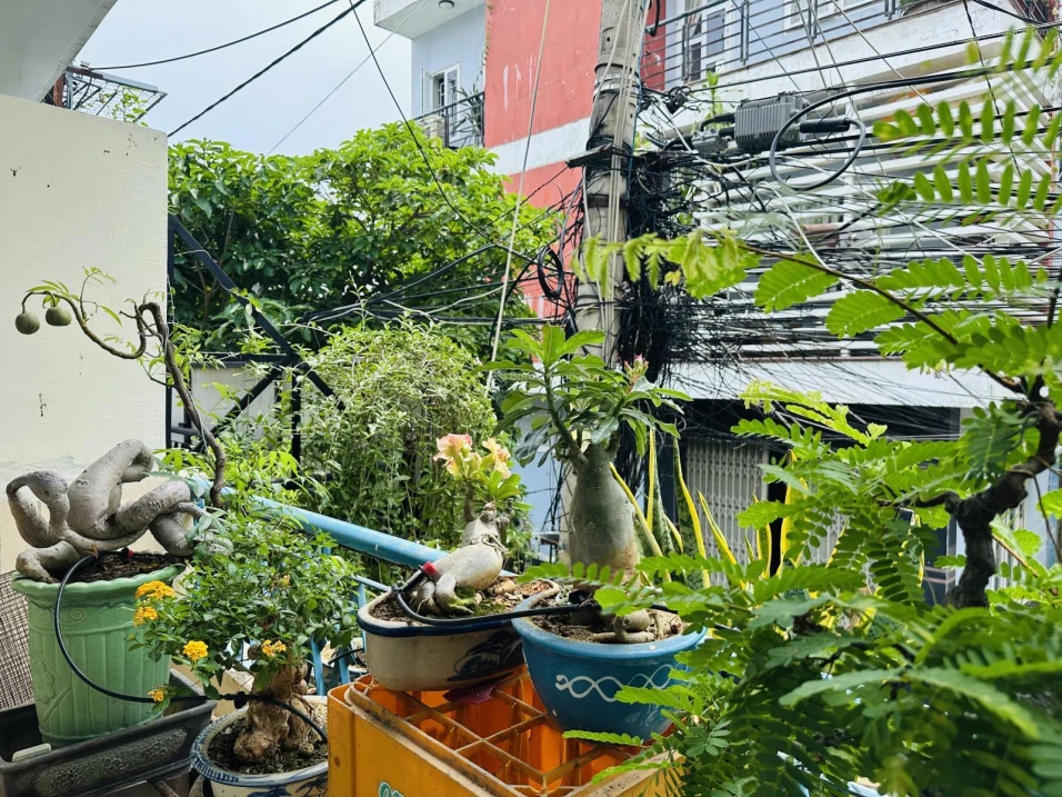 Nhà trung tâm phố biển Quy Nhơn chỉ cách 5 phút ra biển. Vị trí đắc địa để ở hoặc homestay du lịch! - Ảnh thu nhỏ 4