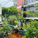 Nhà trung tâm phố biển Quy Nhơn chỉ cách 5 phút ra biển. Vị trí đắc địa để ở hoặc homestay du lịch! - Ảnh thu nhỏ 4