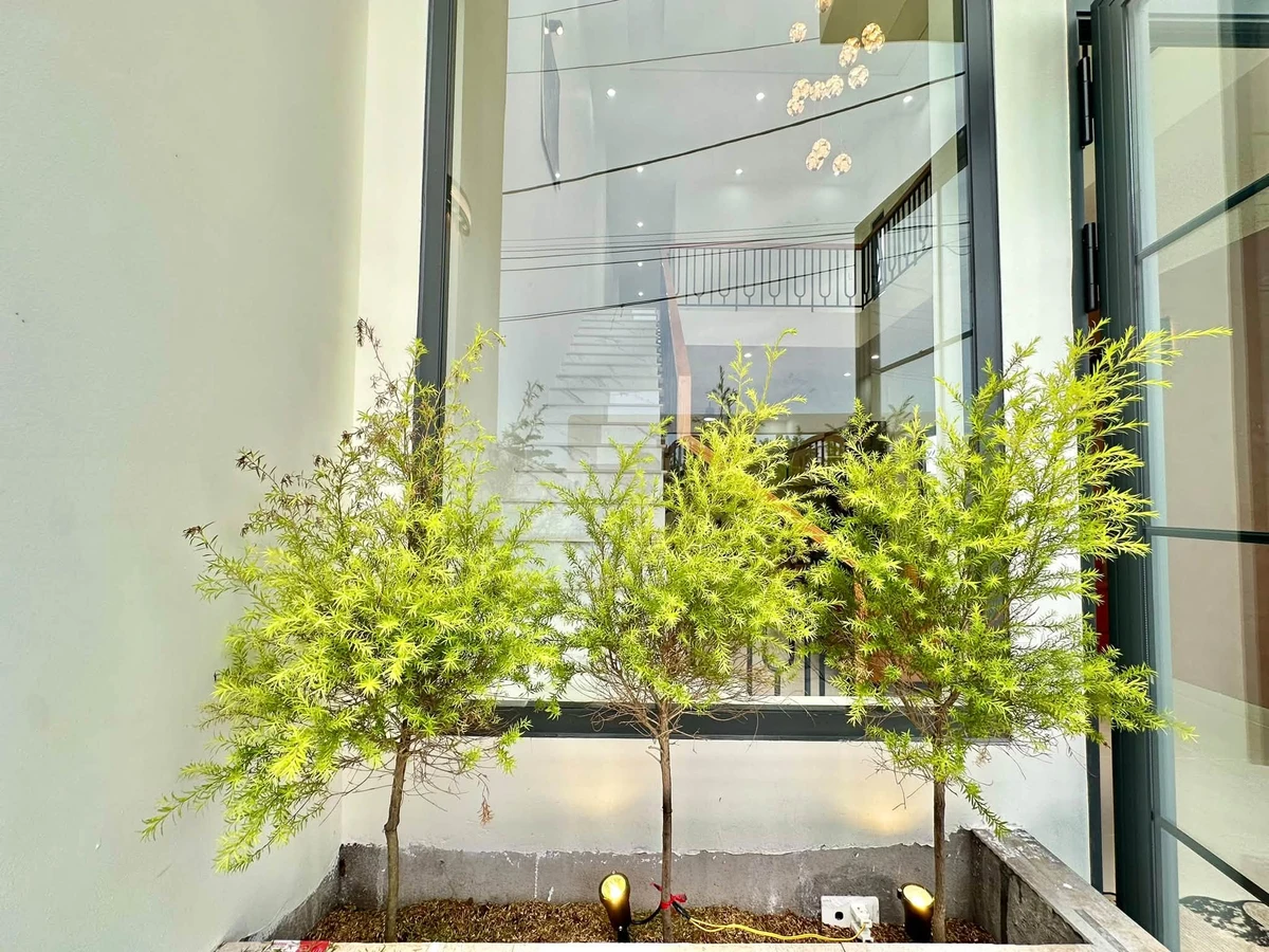 Bán nhà 4.6x25m Bình Chánh 2.38 tỷ - Ảnh thu nhỏ 2
