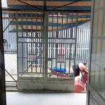 Bán nhà gác lửng 40.7m² gần chợ Gò Dầu 450 triệu - Ảnh thu nhỏ 2