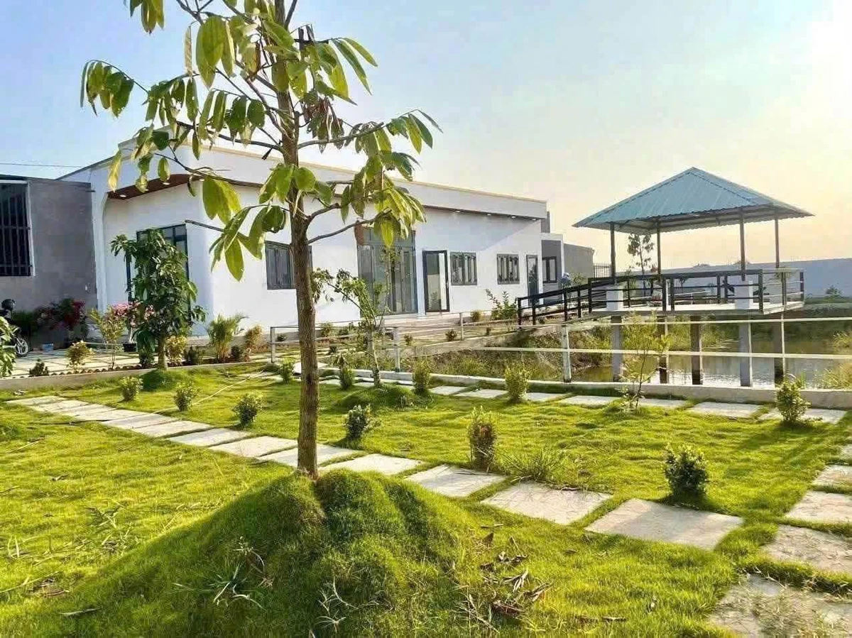 Nhà vườn 900m² Phước Vân, Cần Đước, Long An - 3 tỷ 7 - Ảnh thu nhỏ 4
