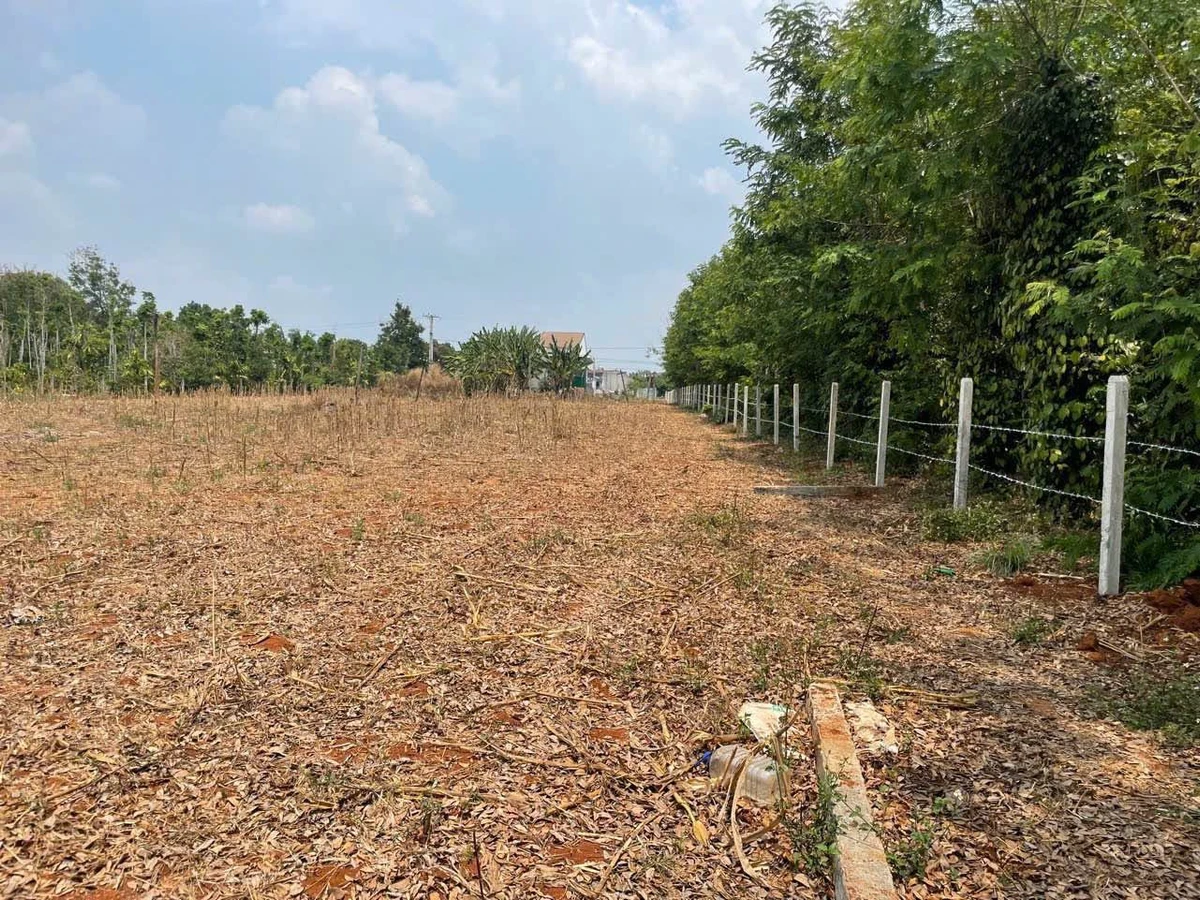 Bán đất 2 mặt tiền 7050m² Tỉnh lộ 5 Đắk Lắk 6.8 tỷ - Ảnh thu nhỏ 4