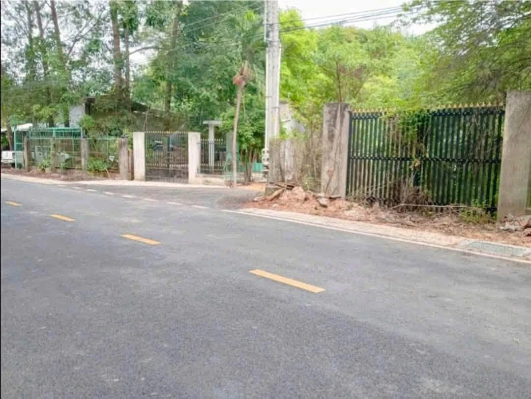 Bán lô đất thổ cư đường nhựa 12m thông DT744 ra DH609, Phú An, Bến Cát, Bình Dương - Ảnh 1