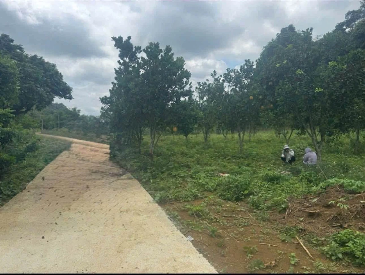 Bán đất 4200m² nghỉ dưỡng Yên Thuỷ 1 tỷ 790 triệu - Ảnh 1