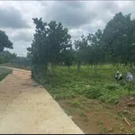 Bán đất 4200m² nghỉ dưỡng Yên Thuỷ 1 tỷ 790 triệu - Ảnh thu nhỏ 1