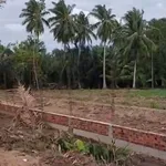 Bán đất Mỹ Thạnh An, Bến Tre 377m² giá 550 triệu - Ảnh thu nhỏ 3