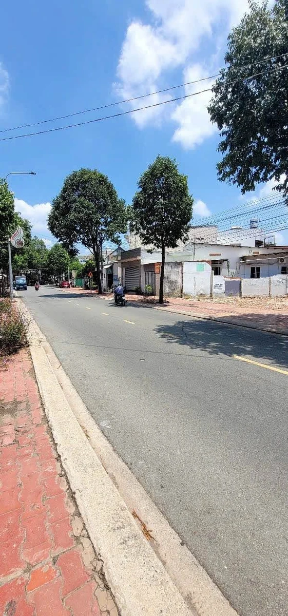 Bán đất mặt tiền Phạm Thị Tân, 60m² ở Phú Lợi - Ảnh thu nhỏ 2