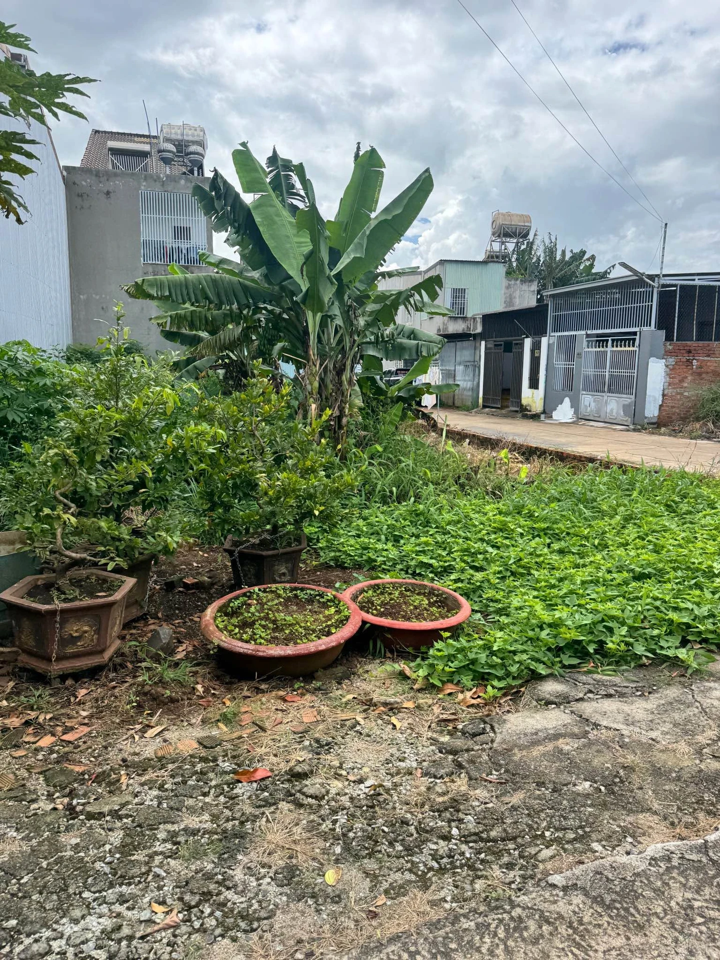 Bán đất Nguyễn Hữu Thấu Nhà Bè 98m², 3 tỷ 990 triệu - Ảnh 1