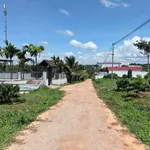 Bán nhà vườn hẻm 520m² đường 19/5 giá 2.2 tỷ - Ảnh thu nhỏ 3