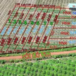 Bán đất nền Phước Hoà Dương Minh Châu 503 m², 200 triệu - Ảnh thu nhỏ 1