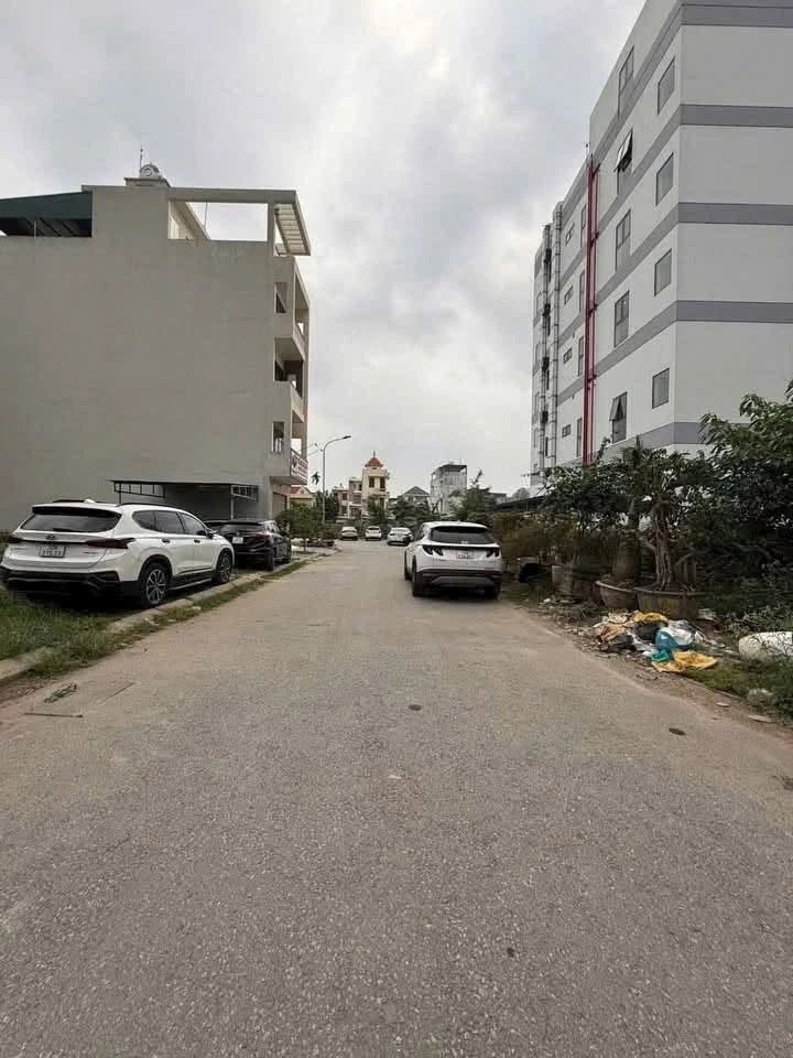 Bán đất đô thị Vịt Cỏ Hồ Sen 65,73m² Hải Dương 3 tỷ 480 triệu - Ảnh thu nhỏ 2