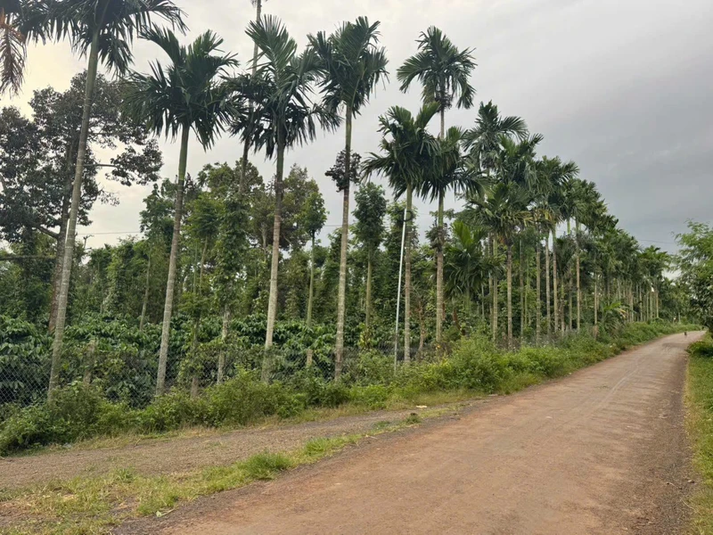 Bán đất nền 600m² tại Ea Tiêu, Đắk Lắk - 1 tỷ 170 triệu