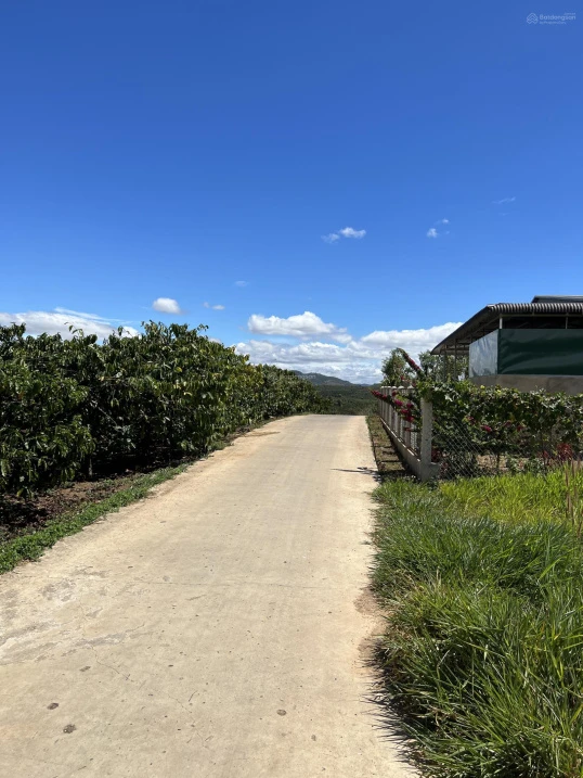Bán đất 1.670m2 đất vườn có 200m2 thổ cư tại Tân Hà, Lâm Hà, Lâm Đồng, giá chỉ 870tr - Ảnh thu nhỏ 2