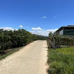 Bán đất 1.670m2 đất vườn có 200m2 thổ cư tại Tân Hà, Lâm Hà, Lâm Đồng, giá chỉ 870tr - Ảnh thu nhỏ 2