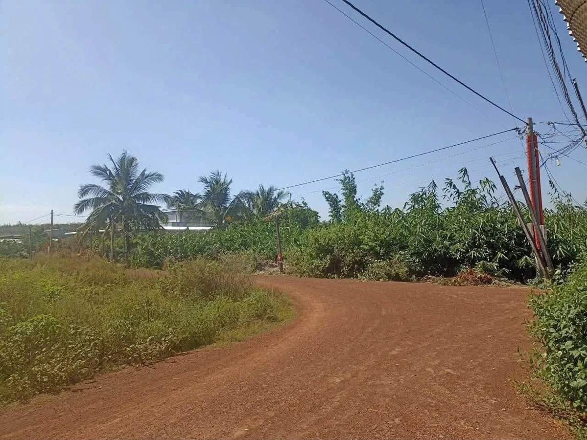 Bán 5 công 3 đất ở Phước Minh, Tây Ninh giá 1 tỷ 3 - Ảnh thu nhỏ 2
