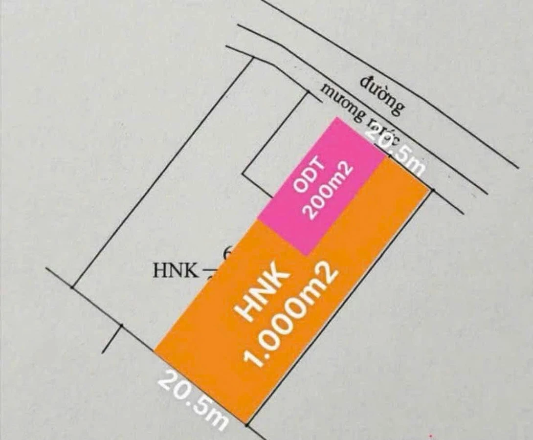 Bán đất 1.200m² thổ cư tại Phường Bình Thuận, Bình Thuận 1 tỷ 300 triệu - Ảnh thu nhỏ 3
