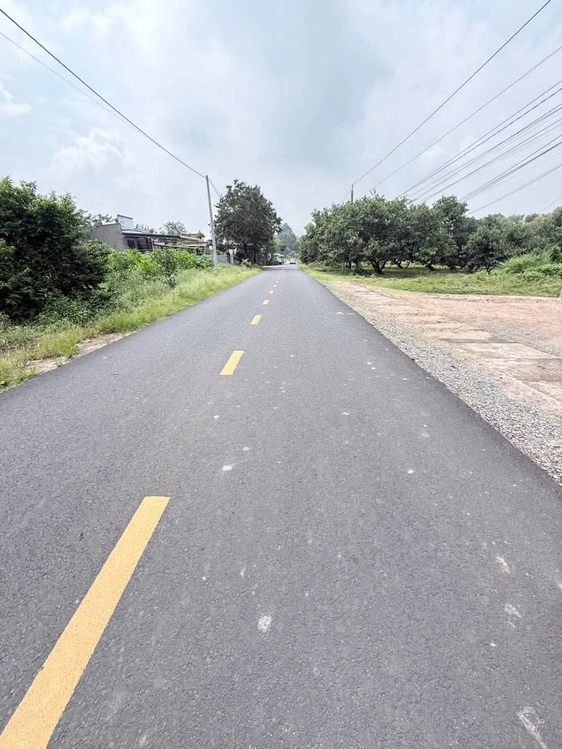 Bán đất Lê Đức Thọ Phú Mỹ 25000m² 1.39 tỷ - Ảnh 1