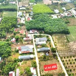 390tr thương lượng mạnh. Bán đất đường nhựa tại Xã Phước Thạnh, Gò Dầu, Tây Ninh, 137,1m² thổ cư - Ảnh thu nhỏ 6