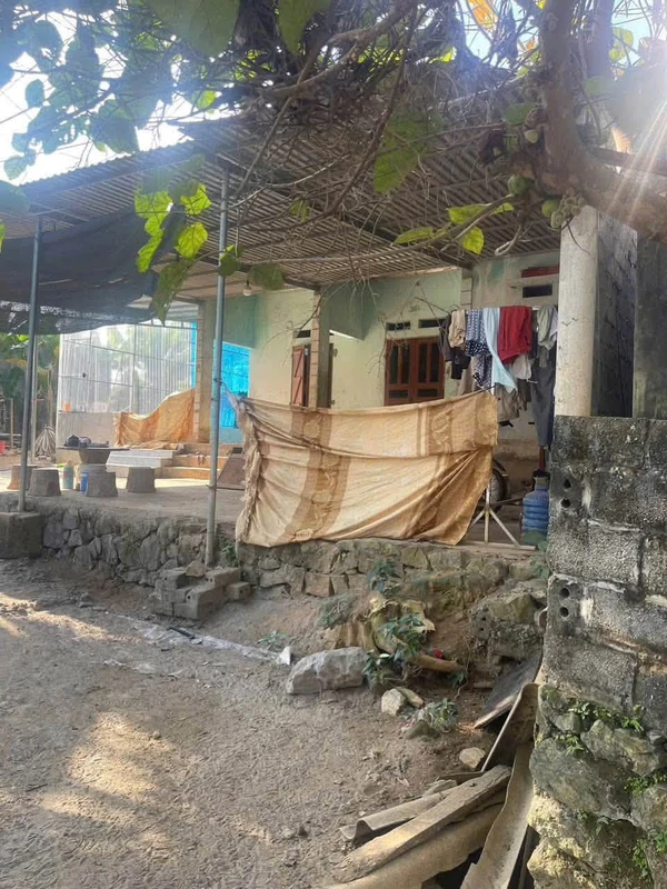 Bán đất Tân Lạc Hòa Bình 2000m² trồng bưởi 1,2 tỷ