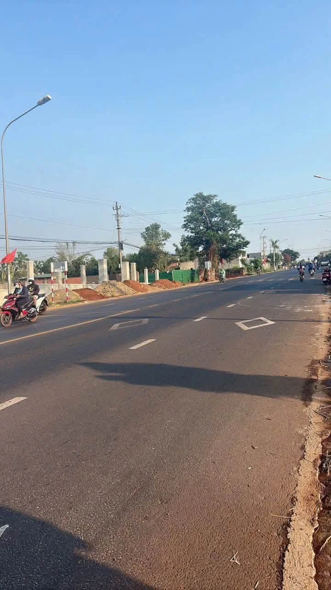 Bán lô mặt tiền TL8 320m² gần KCN Tân An, Bình Dương - Ảnh thu nhỏ 2