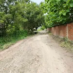 Bán đất trồng cây 600m² Tây Ninh, Phường Bình Minh - Ảnh thu nhỏ 2