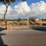Bán lô đất mặt tiền Nguyễn Thái Học Long Tâm 100m2 - Ảnh thu nhỏ 4