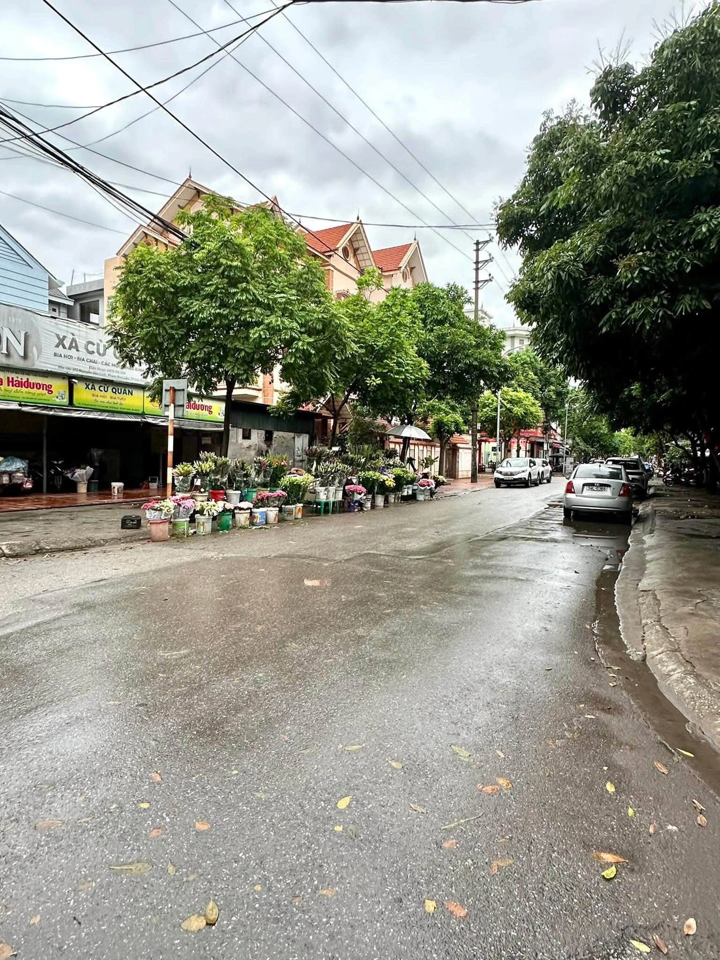 Bán nhà mặt tiền 56m² Nguyễn Qúy Tân, Hải Dương 7 tỷ - Ảnh 1