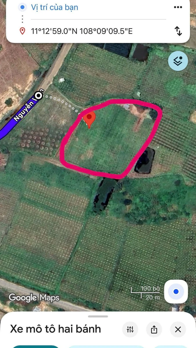 Bán đất 6000m2 trồng cây lâu năm Bình Thuận 1.3 tỷ - Ảnh thu nhỏ 3