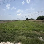 1.198m2 đất lúa, quy hoạch phân khu đất ở An Tịnh - Trảng Bàng - Tây Ninh - Ảnh thu nhỏ 5