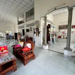 Bán nhà vườn mặt tiền 1399m² An Vĩnh Ngãi Tân An - Ảnh thu nhỏ 3