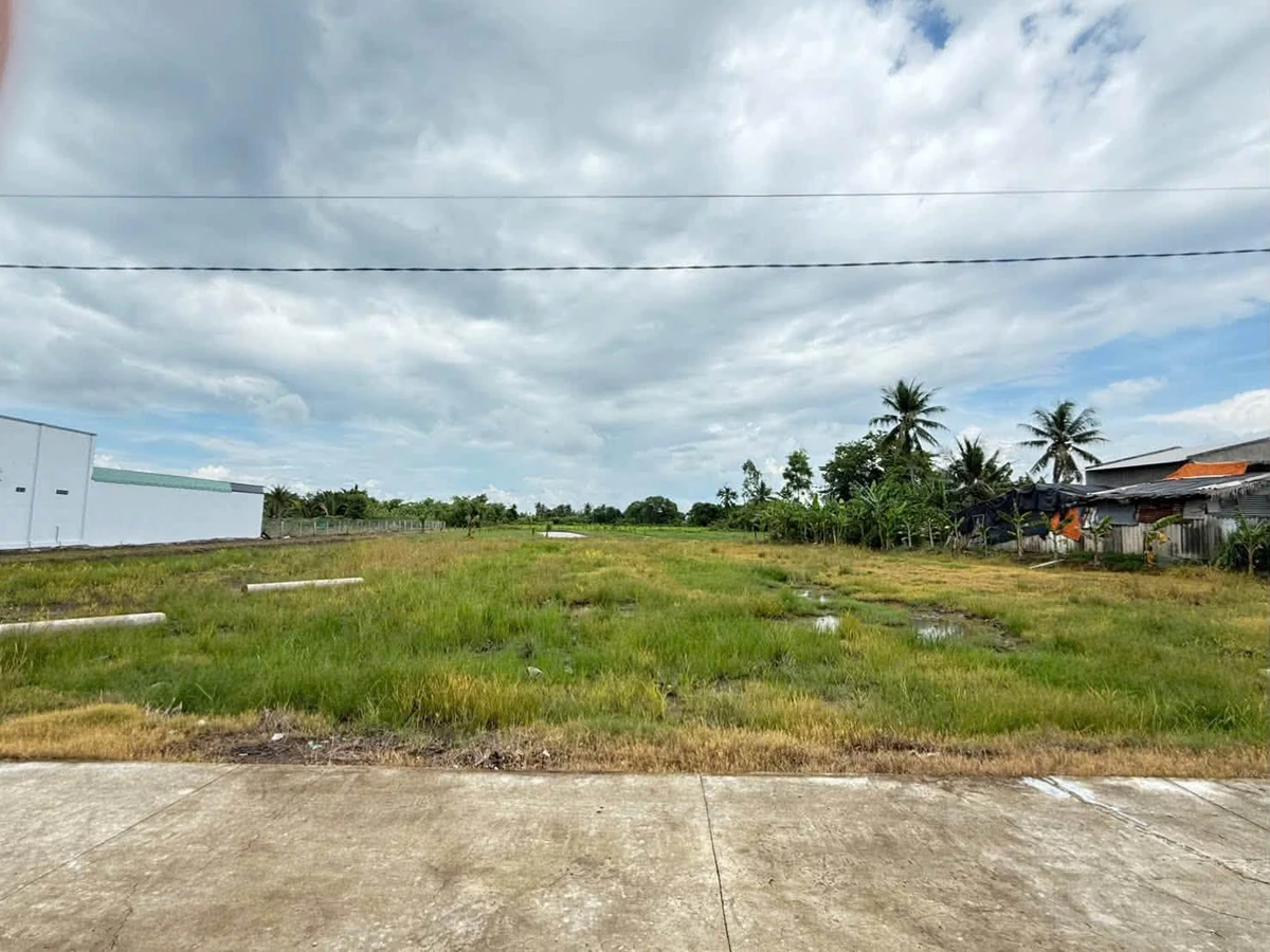 Bán đất lúa và vườn 4000m2 xã Vàm Cỏ, Tây Ninh, giá 450 triệu/1000m2 - Ảnh thu nhỏ 2