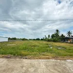 Bán đất lúa và vườn 4000m2 xã Vàm Cỏ, Tây Ninh, giá 450 triệu/1000m2 - Ảnh thu nhỏ 2
