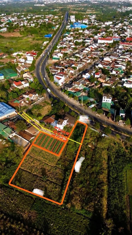 Bán đất cây trồng 850m² Hàm Liêm gần chợ Tân Nông chanshin
