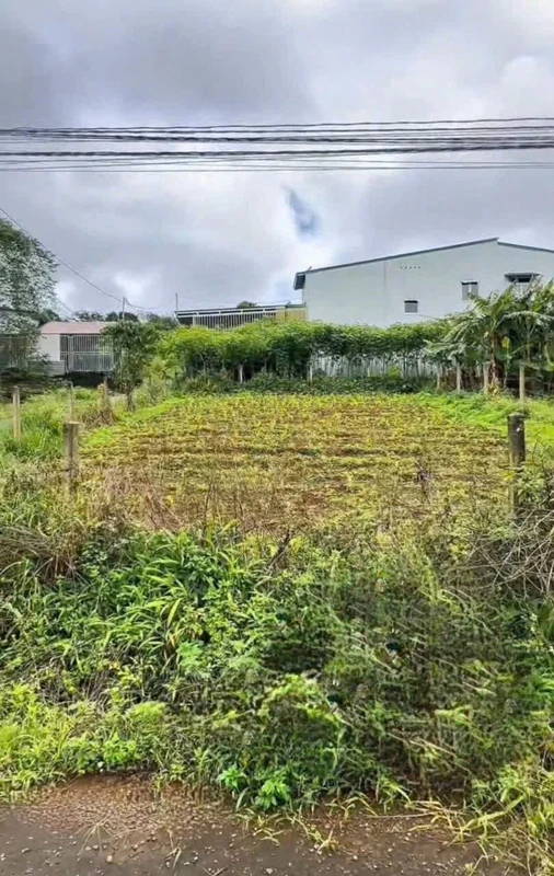 Bán đất mặt tiền 100m² Phan Đình Phùng Bảo Lộc 1,15 tỷ