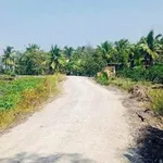 Bán 4.800m² đất vườn Long An, giá 1 tỷ 900 triệu - Ảnh thu nhỏ 2