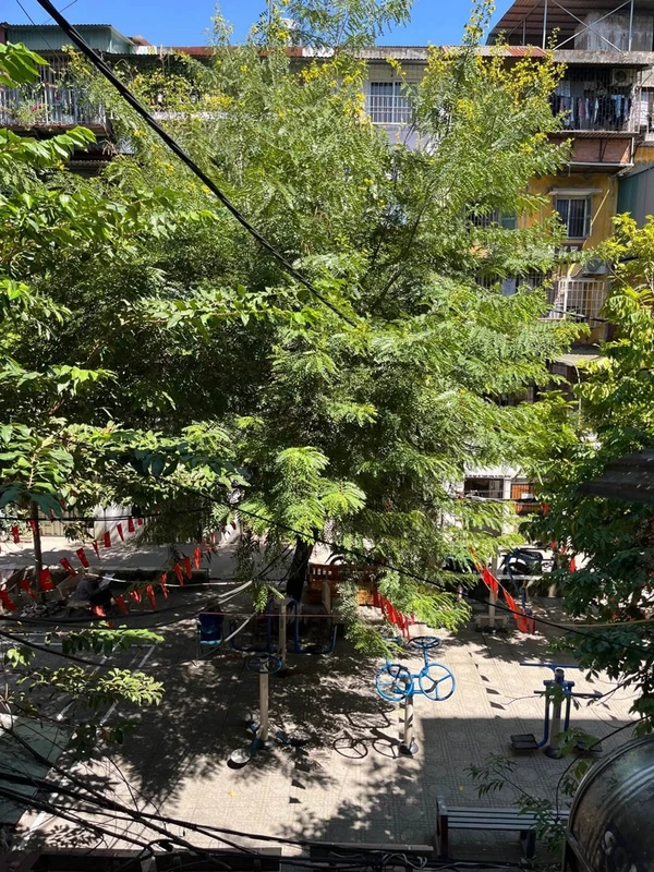 Bán nhà 60m² 2 phòng ngủ tập thể Thành Công Ba Đình 3,5 tỷ
