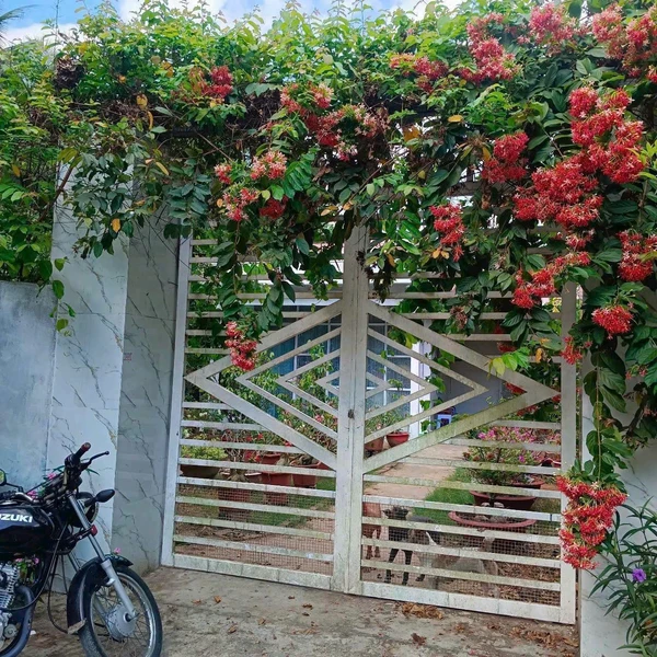 Bán đất 2500m2 tại Thị trấn Châu Thành, Tiền Giang, giá 3 tỷ