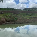 Bán 5,7 ha đất vườn cà phê có sổ hồng tại xã Đăk Mil, Lâm Đồng giá 4,65 tỷ - Ảnh thu nhỏ 3