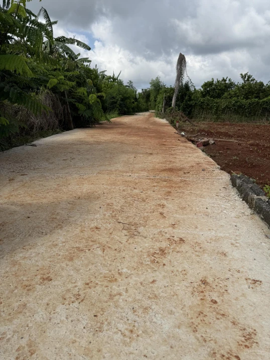 Bán đất Xã Xuyên Mộc gần chợ Xuyên Mộc, diện tích: 6x28m, có 80m2 thổ cư, khu dân cư, đường ô tô - Ảnh thu nhỏ 4