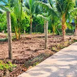 Bán đất HXH Tân Thạch 280m², 630 triệu - Ảnh thu nhỏ 3