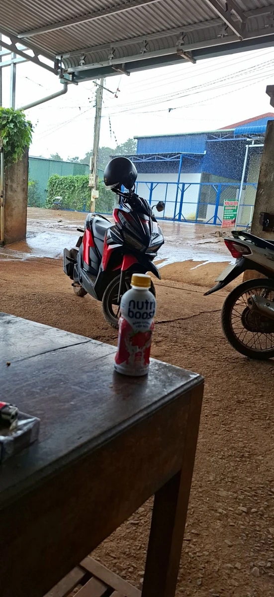 Bán đất vườn 1ha có 70 cây sầu riêng đang thu hoạch tại Quảng Tín, Đắk R'Lấp, Đắk Nông - Ảnh 1