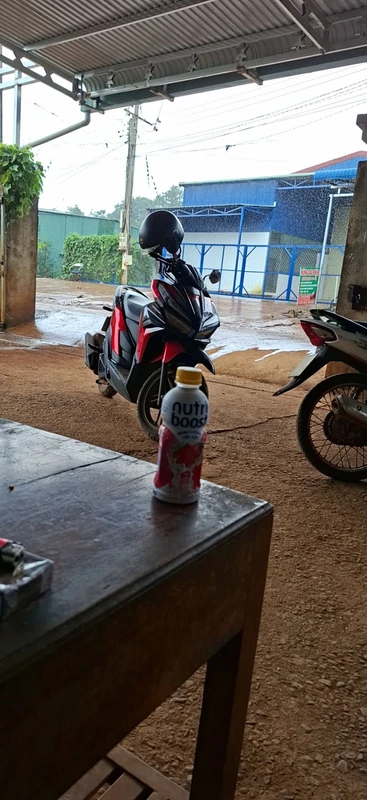 Bán đất vườn 1ha có 70 cây sầu riêng đang thu hoạch tại Quảng Tín, Đắk R'Lấp, Đắk Nông
